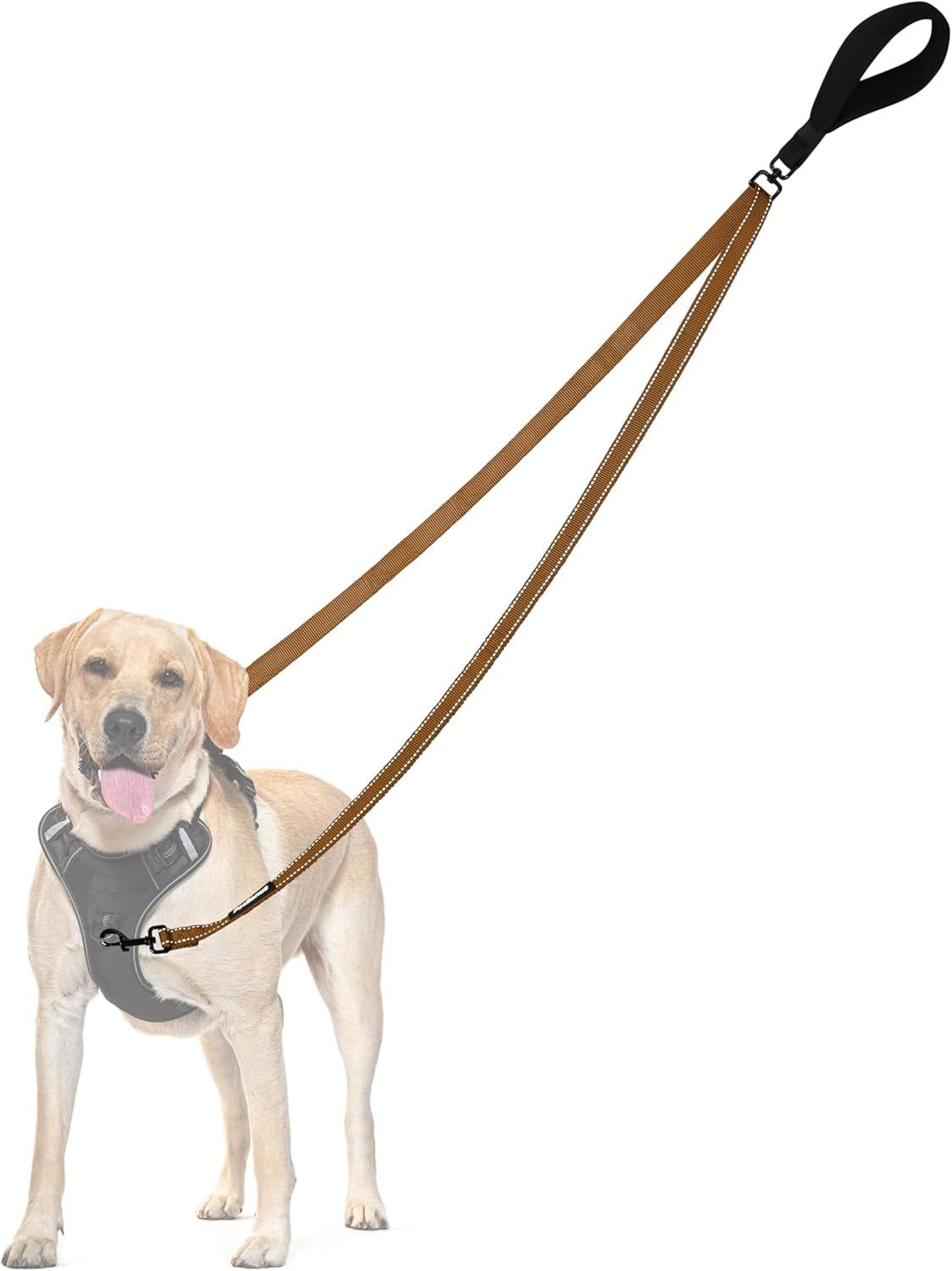 Two Point Control Dog Lead, Works with No Pull Harnesses, No Tangle Training Leads, Soft Padded and Reflective Walking Lead, Converts to Single Lead for Medium Large Dogs (Brown)