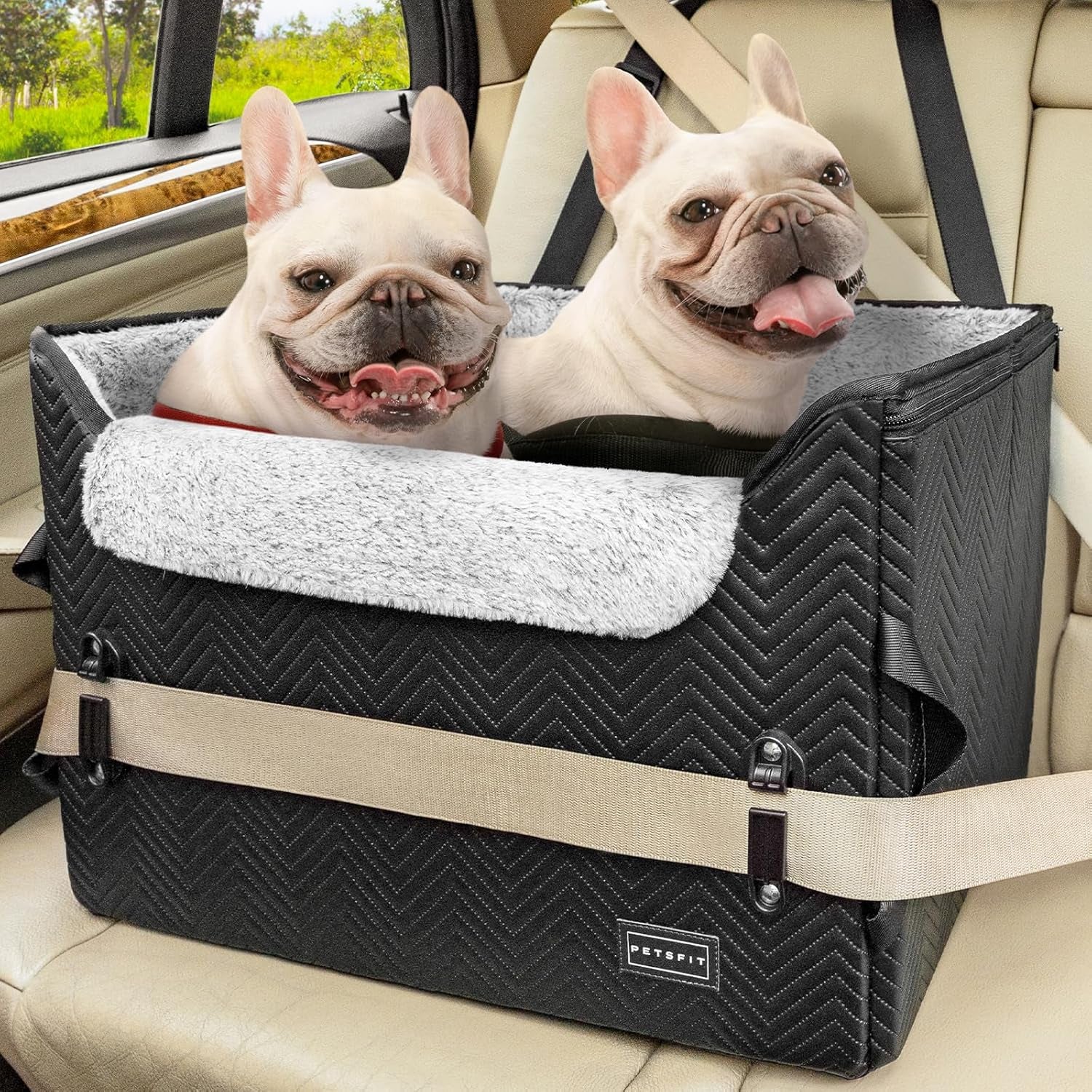 Elevated View Dog Booster Seat – Black (M, Harness Clips, Up to 11kg) | HappyPawsCo UK