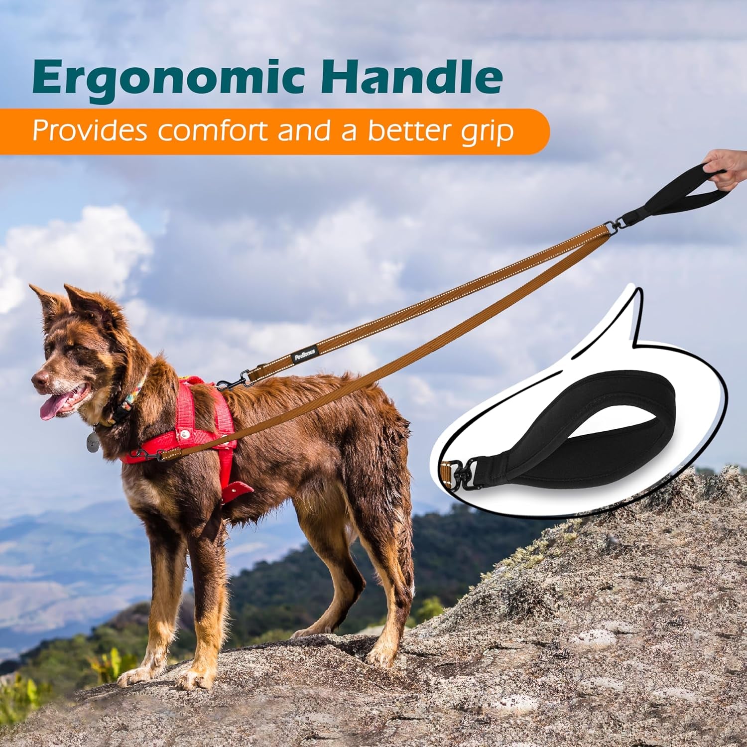Two Point Control Dog Lead, Works with No Pull Harnesses, No Tangle Training Leads, Soft Padded and Reflective Walking Lead, Converts to Single Lead for Medium Large Dogs (Brown)