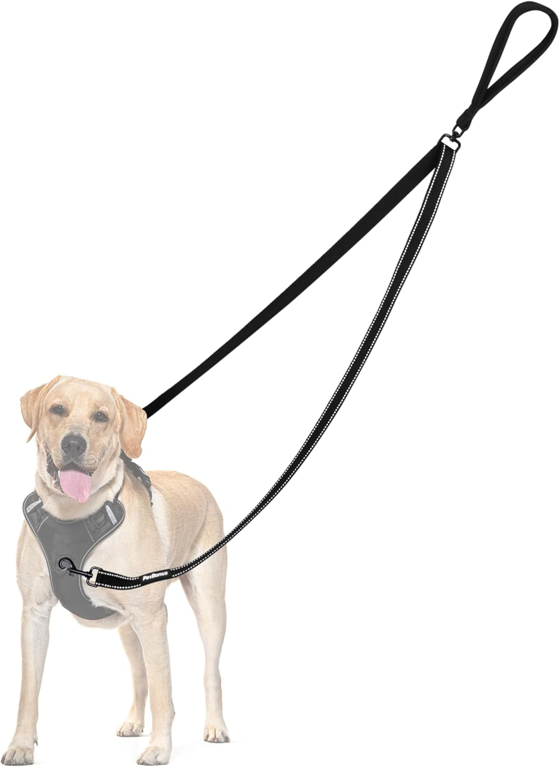 Two Point Control Dog Lead, Works with No Pull Harnesses, No Tangle Training Leads, Soft Padded and Reflective Walking Lead, Converts to Single Lead for Medium Large Dogs (Black)