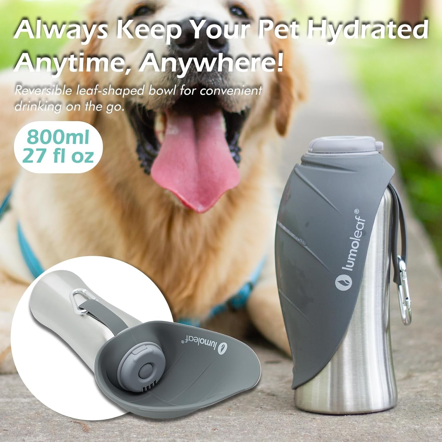 Stainless Steel Pet Water Bottle – 800 ml (Grey)