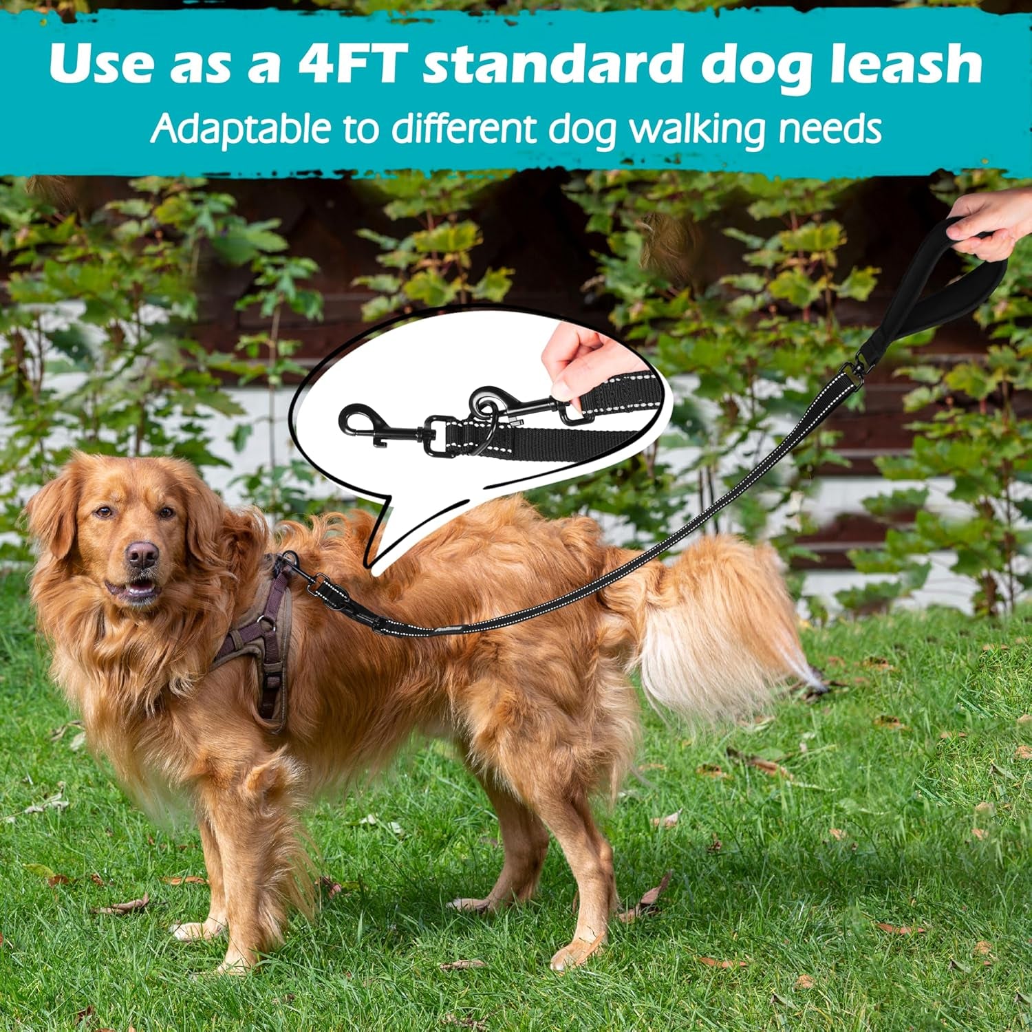 Two Point Control Dog Lead, Works with No Pull Harnesses, No Tangle Training Leads, Soft Padded and Reflective Walking Lead, Converts to Single Lead for Medium Large Dogs (Black)