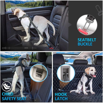 Dog car tether with ISOFIX/LATCH swivel – HappyPawsCo UK pet travel safety