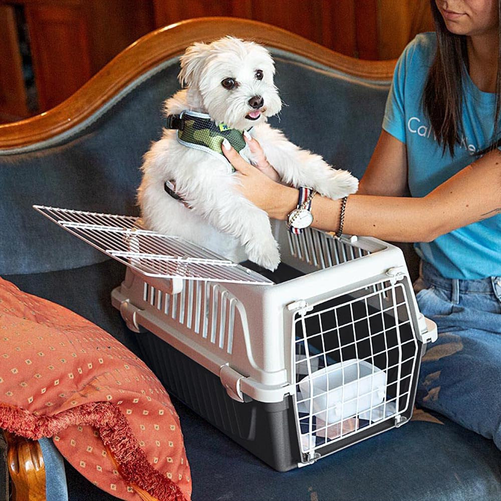 Cat Carrier Small Dog Carrier, Double Opening, Secure, Practical, Easy to Clean, Durable Pet Travel Box up to 5 Kg, Includes Cushion, 48 X 32.5 X H 29 Cm.