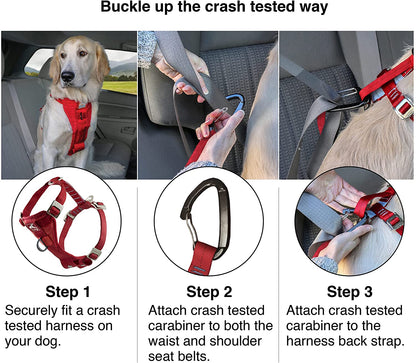 Enhanced Strength Tru-Fit Dog Car Harness, Crash Tested, Steel Nesting Buckles, Includes Seatbelt Tether, Medium-Black