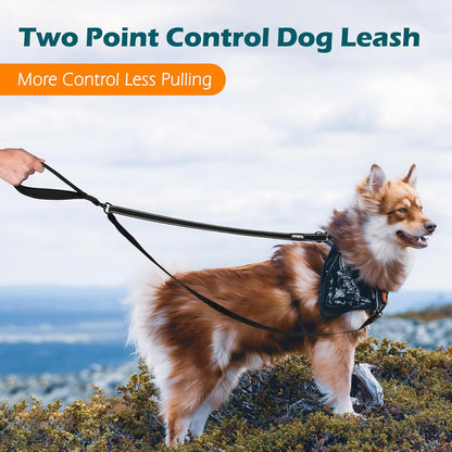 Two Point Control Dog Lead, Works with No Pull Harnesses, No Tangle Training Leads, Soft Padded and Reflective Walking Lead, Converts to Single Lead for Medium Large Dogs (Black)