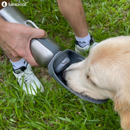 Stainless Steel Pet Water Bottle – 800 ml (Grey)