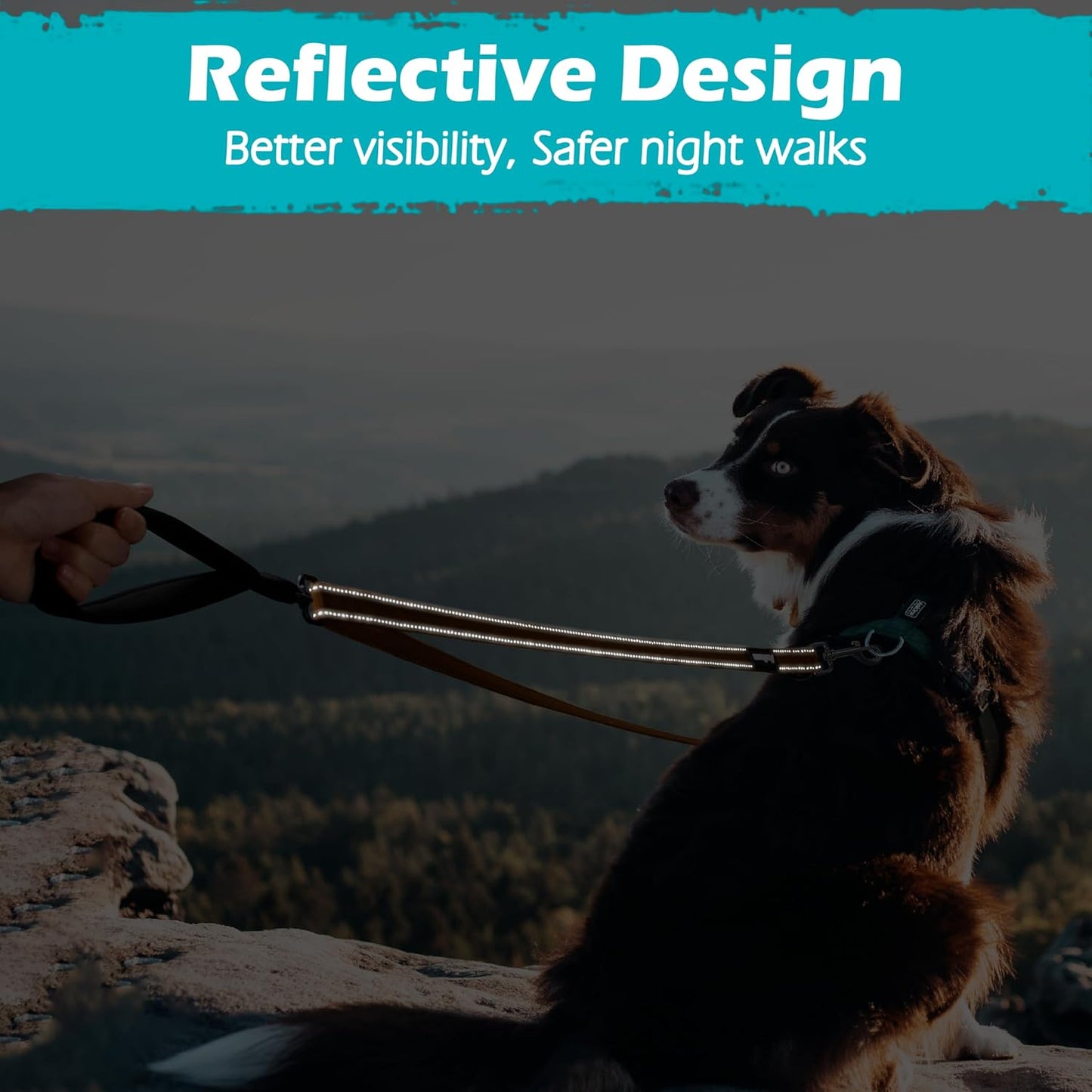 Two Point Control Dog Lead, Works with No Pull Harnesses, No Tangle Training Leads, Soft Padded and Reflective Walking Lead, Converts to Single Lead for Medium Large Dogs (Brown)