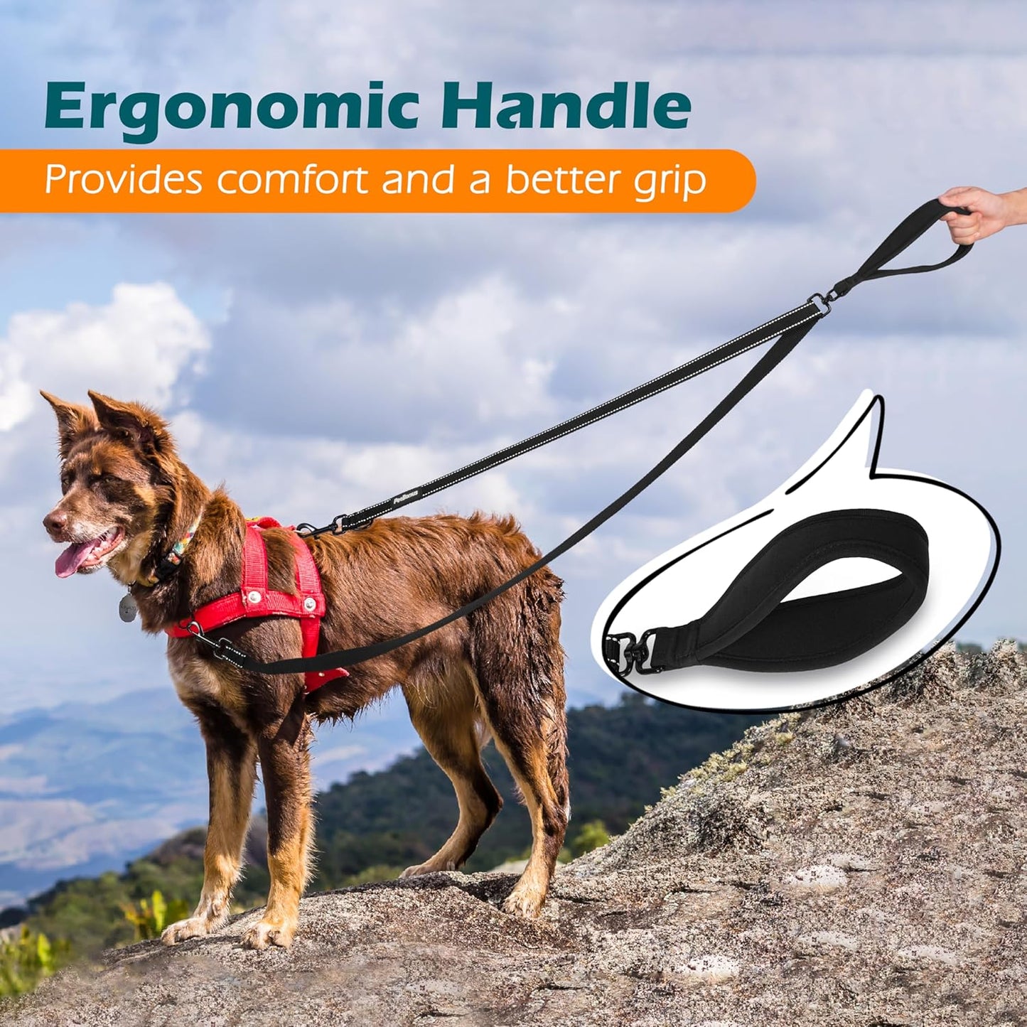 Two Point Control Dog Lead, Works with No Pull Harnesses, No Tangle Training Leads, Soft Padded and Reflective Walking Lead, Converts to Single Lead for Medium Large Dogs (Black)