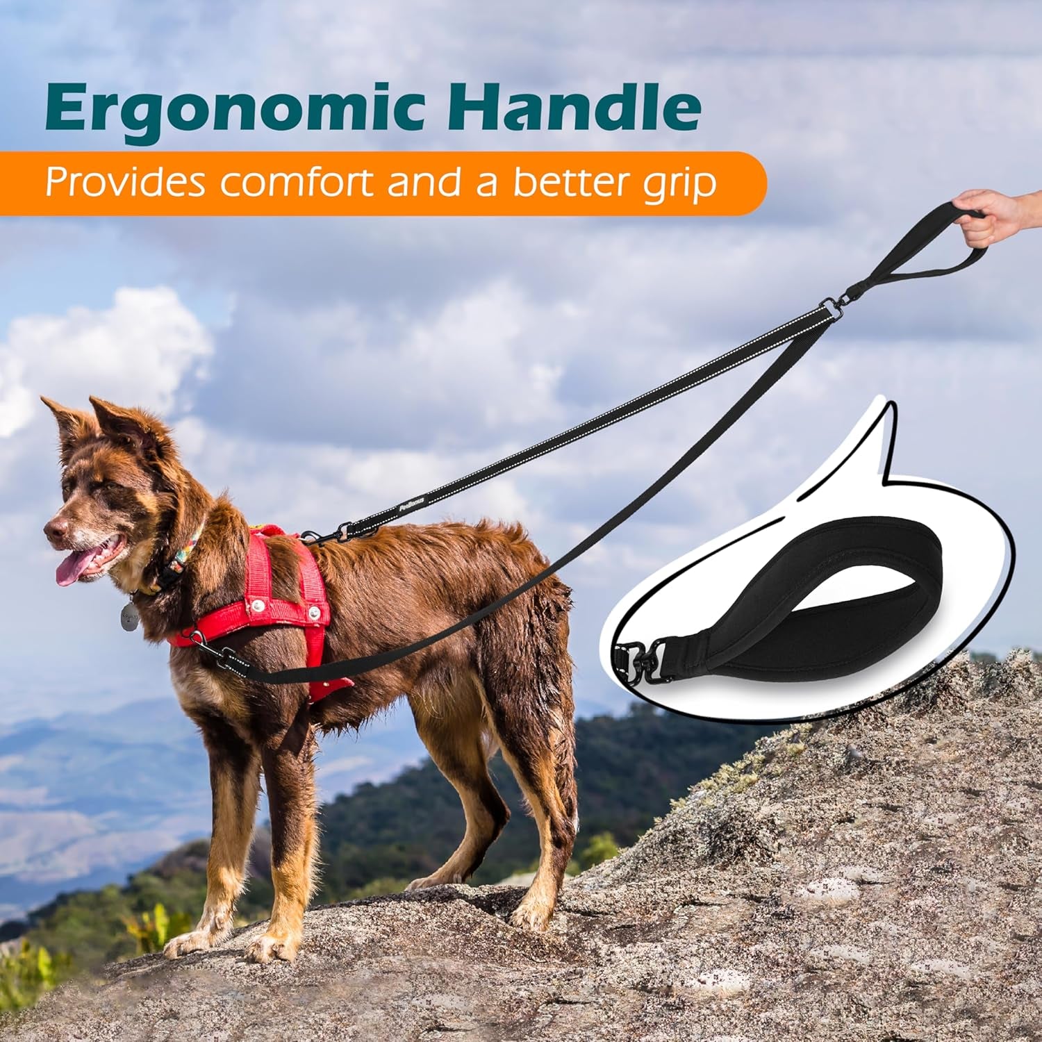 Two Point Control Dog Lead, Works with No Pull Harnesses, No Tangle Training Leads, Soft Padded and Reflective Walking Lead, Converts to Single Lead for Medium Large Dogs (Black)