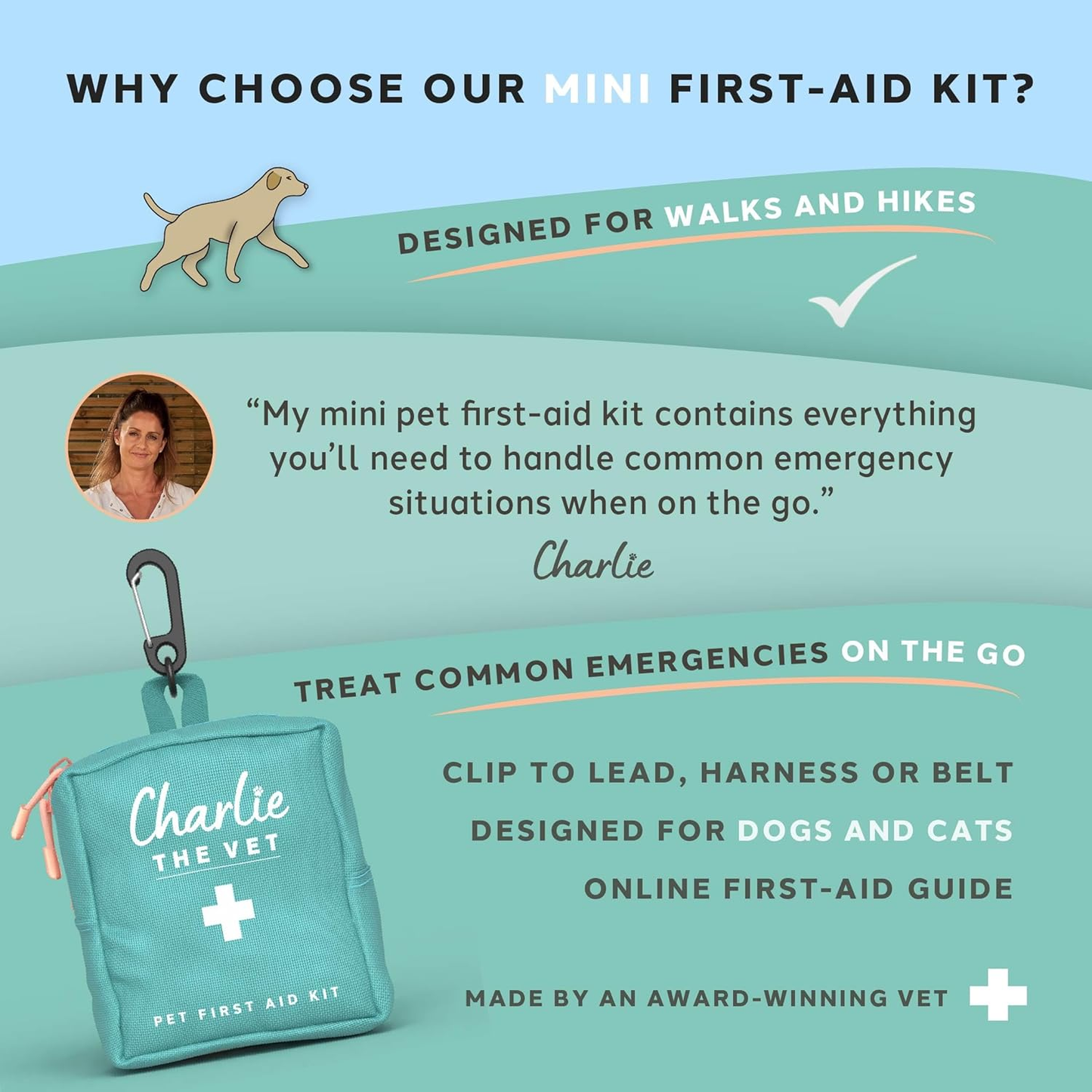 Mini Pet First Aid Kit (Vet-Designed)