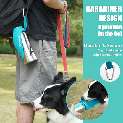 Stainless Steel Pet Water Bottle – 800 ml (Blue)