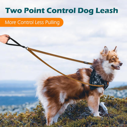 Two Point Control Dog Lead, Works with No Pull Harnesses, No Tangle Training Leads, Soft Padded and Reflective Walking Lead, Converts to Single Lead for Medium Large Dogs (Brown)
