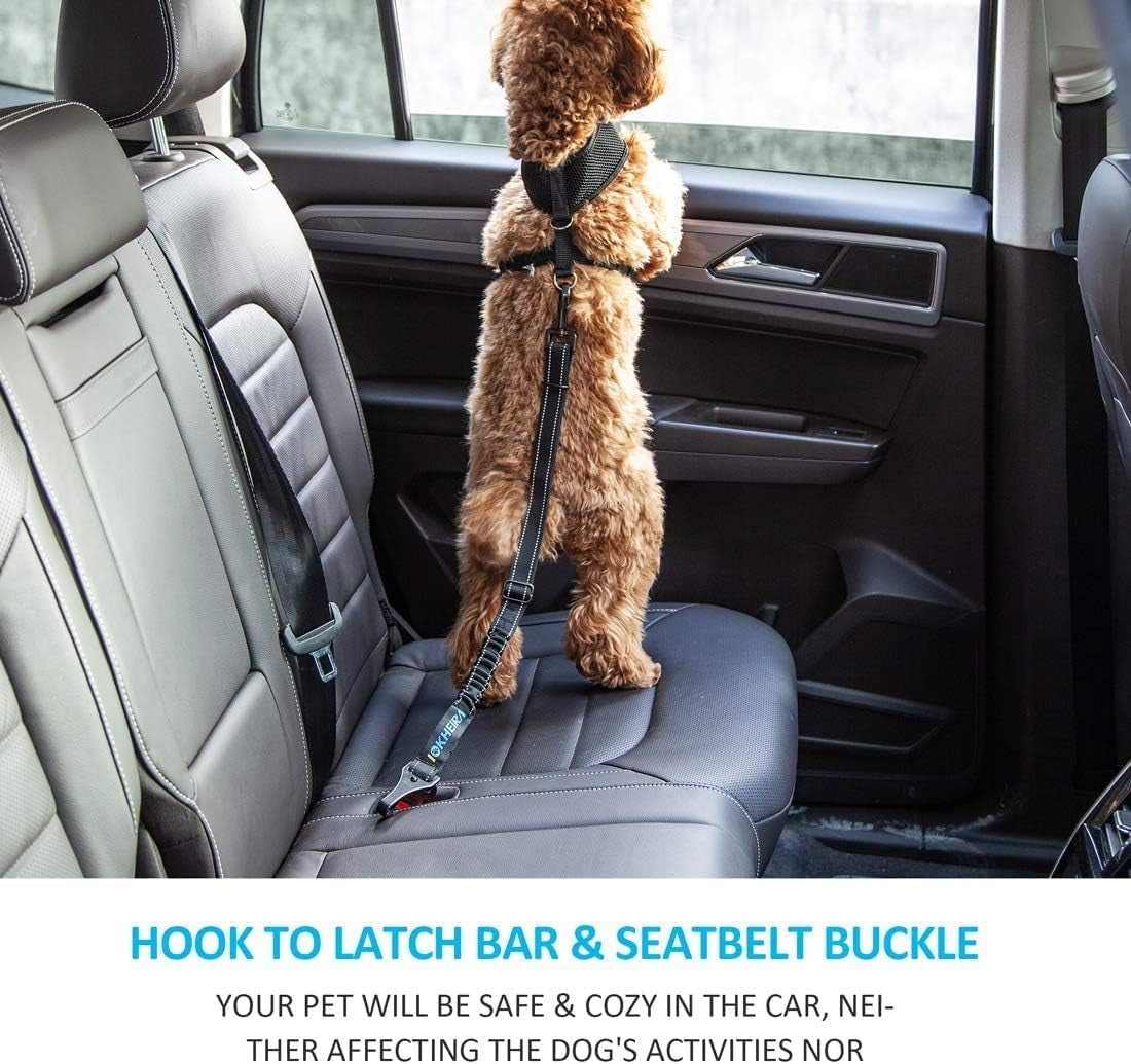ISOFIX/LATCH Swivel Seat-Belt Tether (Metal Carabiner, Shock-Absorb) | HappyPawsCo UK
