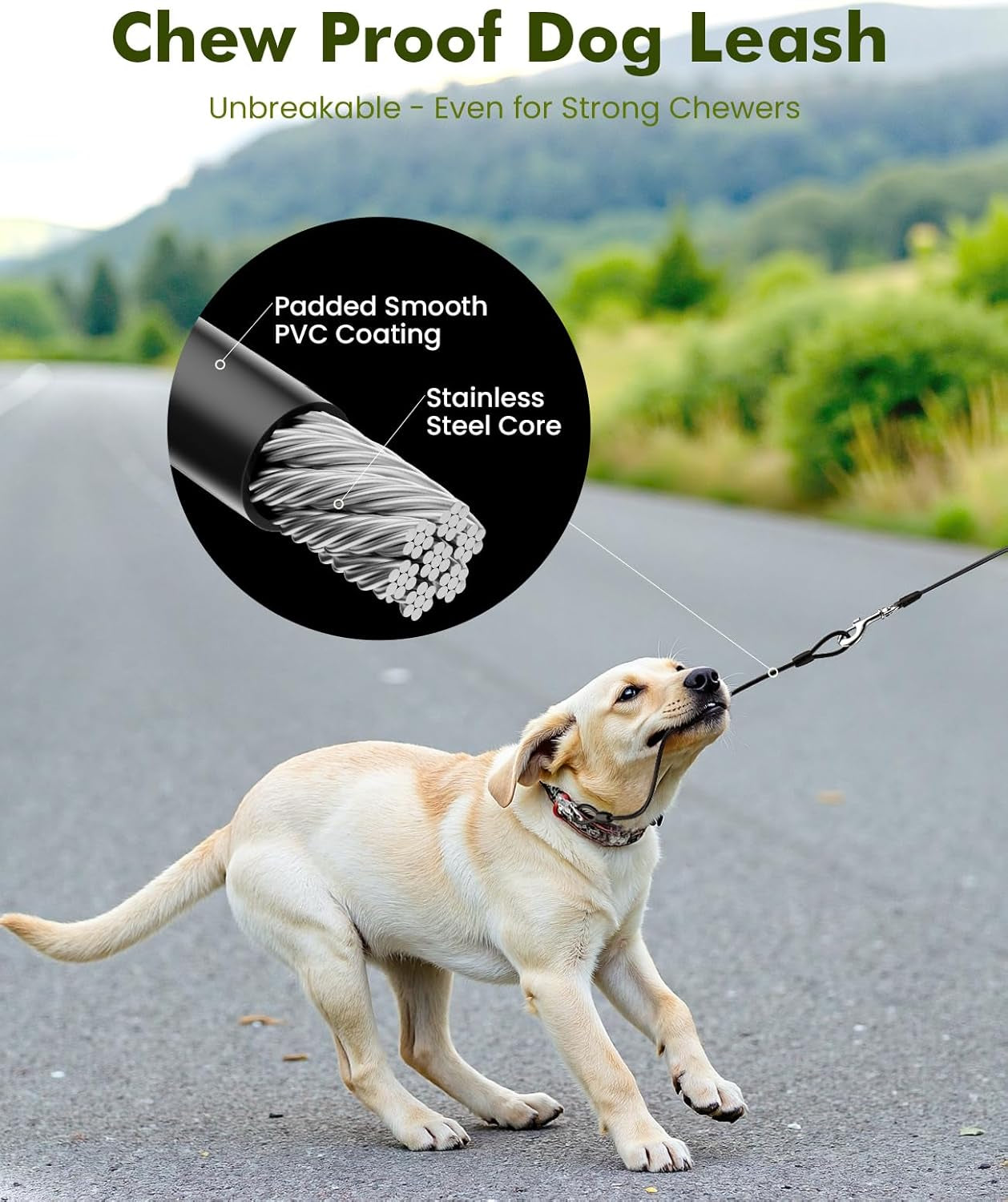 8m Retractable Dog Lead w/ Anti-Chew Cable – Pecute (2025)