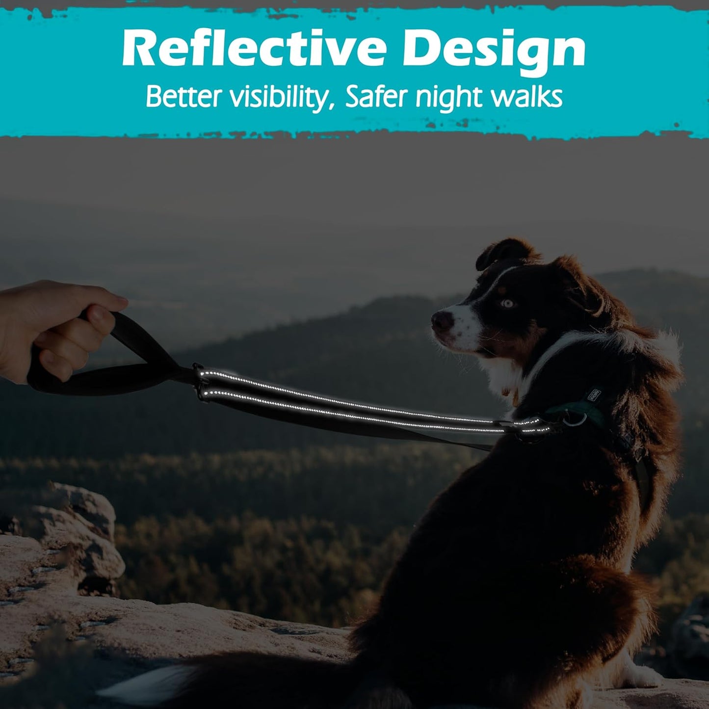 Two Point Control Dog Lead, Works with No Pull Harnesses, No Tangle Training Leads, Soft Padded and Reflective Walking Lead, Converts to Single Lead for Medium Large Dogs (Black)