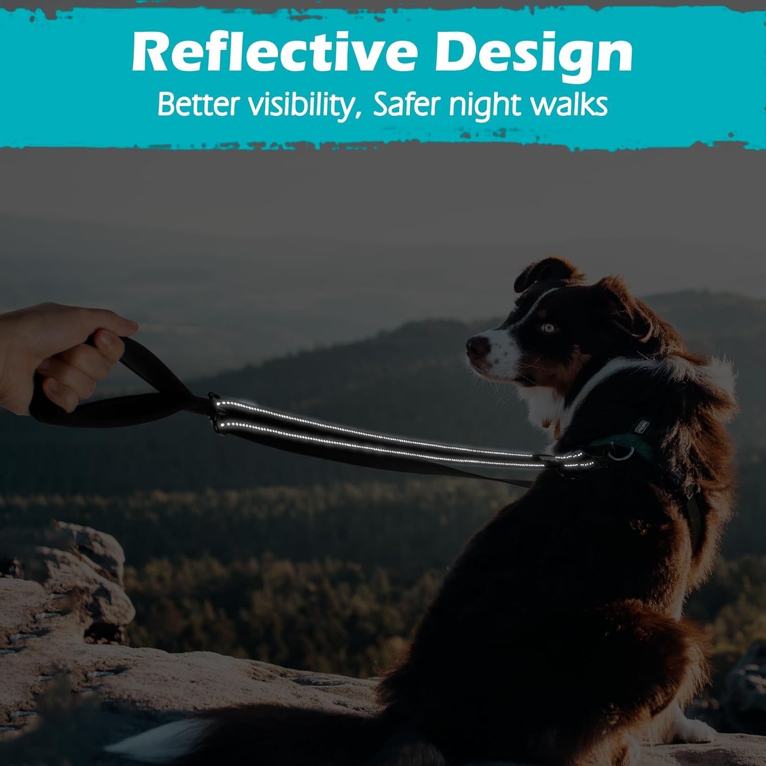 Two Point Control Dog Lead, Works with No Pull Harnesses, No Tangle Training Leads, Soft Padded and Reflective Walking Lead, Converts to Single Lead for Medium Large Dogs (Black)